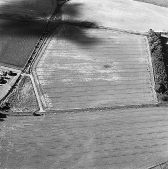 Oblique aerial view centred on the cropmarks of a cursus, taken from the SSE.