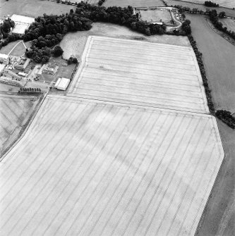 Oblique aerial view centred on the cropmarks of the possible enclosure, souterrain and ring-ditch with the stable block adjacent, taken from the N.