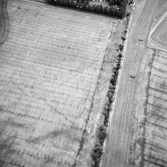 Scone Park, oblique aerial view, taken from the WSW, centred on the cropmarks of the N angle of the Roman Temporary Camp. Perth Hunt Race Course is visible in the right half of the photograph.