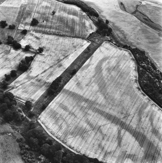 Oblique aerial view.