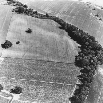 Oblique aerial view