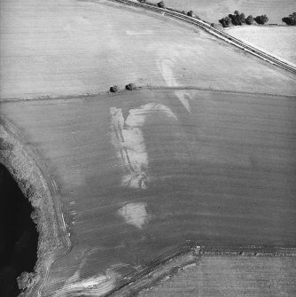 Cargill, oblique aerial view taken from the SW centred on the cropmarks of a Roman Fortlet.