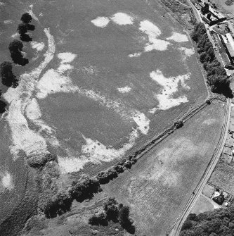 Ballathie, oblique aerial view, taken from the NE, centred on the cropmarks of a number of pits.