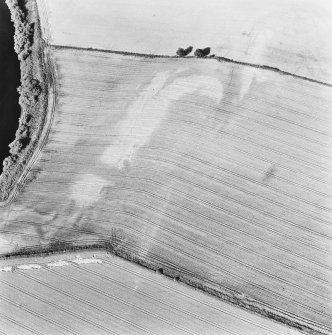 Cargill, oblique aerial view, taken from the SW, centred on the cropmarks of a Roman Fortlet and ring-ditches.
