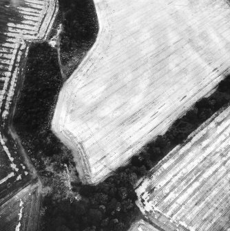 Oblique aerial view.