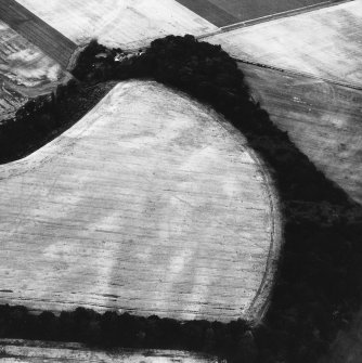 Oblique aerial view.