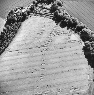 Oblique aerial view centred on the cropmarks of the Roman Temporary Camps with linear cropmark adjacent, taken from the NE.