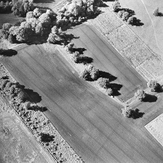 Oblique aerial view centred on the cropmark of the linear earthwork, taken from the S.