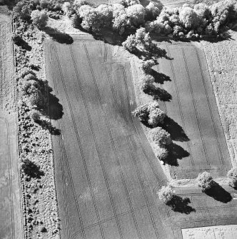 Oblique aerial view centred on the cropmark of the linear earthwork, taken from the SE.