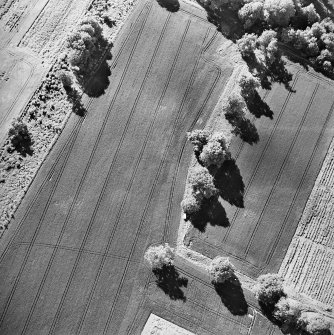 Oblique aerial view centred on the cropmark of the linear earthwork, taken from the E.