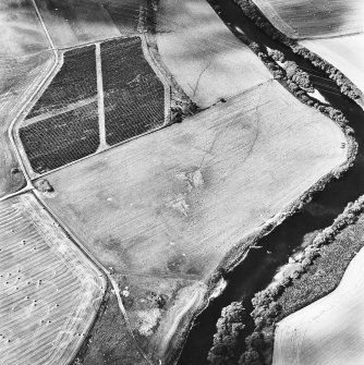 Links, oblique aerial view, taken from the E, centred on the cropmarks of a moated site.