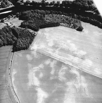Kinclaven Castle, oblique aerial view taken from the NW centred on the cropmarks of a enclosure and a possible unenclosed settlement.
