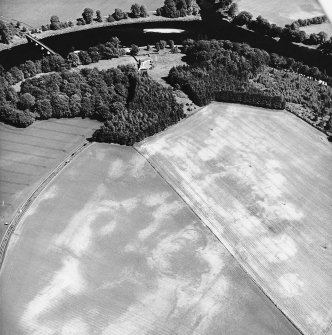 Kinclaven Castle, oblique aerial view taken from the W centred on the cropmarks of a enclosure and a possible unenclosed settlement.