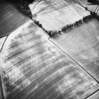 Oblique aerial view.