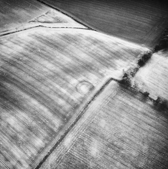 Oblique aerial view.