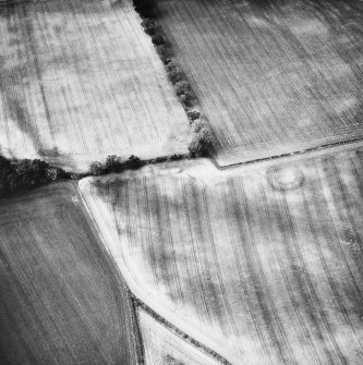 Oblique aerial view.