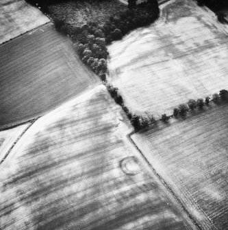 Oblique aerial view.