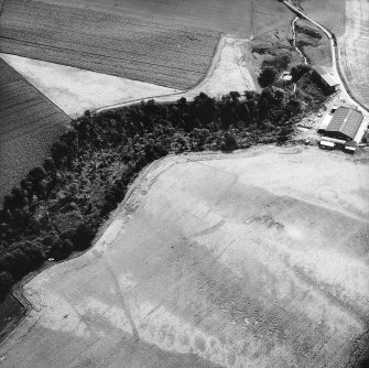 Oblique aerial view.