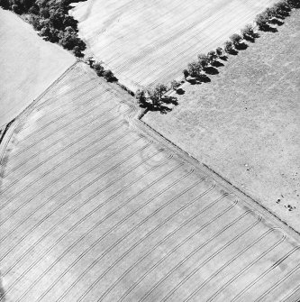 Oblique aerial view taken from the E, centred on the cropmark of an enclosure.