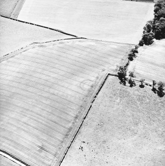 Oblique aerial view taken from the NE, centred on the cropmark of an enclosure.