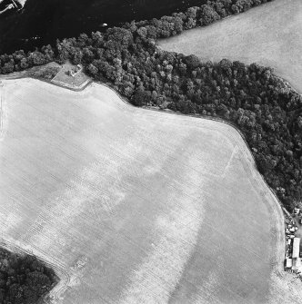 Oblique aerial view centred on the cropmarks of the enclosure and grange with the ruins of the burial ground and church adjacent, taken from the SW.