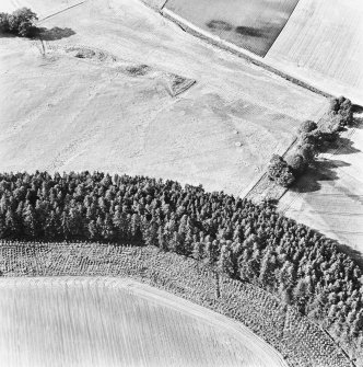 Spittalfield and Wester Drumatherty, oblique aerial view, taken from the SE, centred on the cropmarks of a Roman road and quarry pits, a linear cropmark, a palisaded enclosure, a possible pit-alignment, a round house and souterrains.