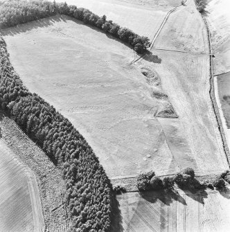 Spittalfield and Wester Drumatherty, oblique aerial view, taken from the ESE, centred on the cropmarks of a Roman road and quarry pits, a linear cropmark, a palisaded enclosure, a possible pit-alignment, a round house and souterrains.