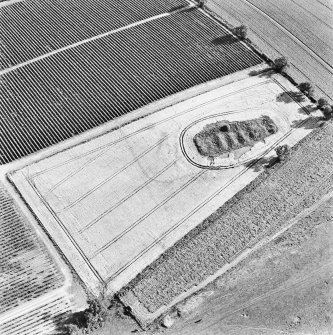 Steeds Stalls, Gourdie, oblique aerial view, taken from the NNE, centred on the cropmarks of the Roman Temporary Camp.