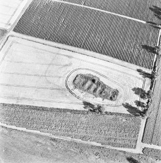 Steeds Stalls, Gourdie, oblique aerial view, taken from the NW, centred on the cropmarks of the Roman Temporary Camp.
