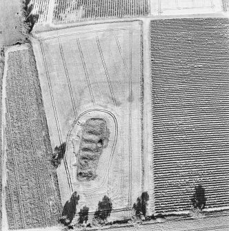 Steeds Stalls, Gourdie, oblique aerial view, taken from the SW, centred on the cropmarks of the Roman Temporary Camp.