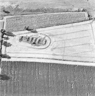 Steeds Stalls, Gourdie, oblique aerial view, taken from the SE, centred on the cropmarks of the Roman Temporary Camp.