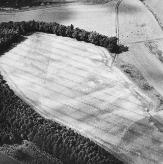 Oblique aerial view centred on the cropmarks of the palisaded enclosure, ring-ditch, Roman road, round house, souterrain, pits, linear cropmark and possible pit-alignment, taken from the ESE.