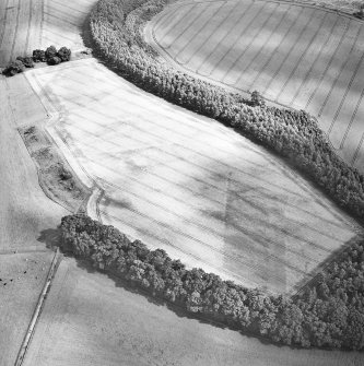 Oblique aerial view centred on the cropmarks of the palisaded enclosure, ring-ditch, Roman road, round house, souterrain, pits, linear cropmark and possible pit-alignment, taken from the WNW.