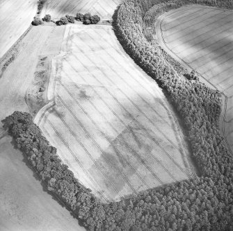 Oblique aerial view centred on the cropmarks of the palisaded enclosure, ring-ditch, Roman road, round house, souterrain, pits, linear cropmark and possible pit-alignment, taken from the W.