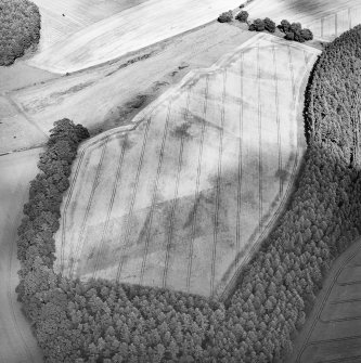 Oblique aerial view centred on the cropmarks of the palisaded enclosure, ring-ditch, Roman road, round house, souterrain, pits, linear cropmark and possible pit-alignment, taken from the WSW.