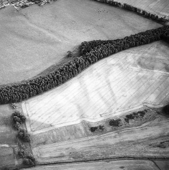 Oblique aerial view of Spittalfield centred on the cropmarks of a round house and souterrain with Roman road adjacent, taken from the N.