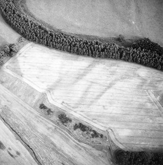 Oblique aerial view of Spittalfield centred on the cropmarks of a round house and souterrain with Roman road adjacent, taken from the NW.