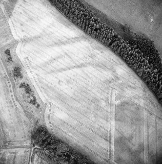 Oblique aerial view of Spittalfield centred on the cropmarks of a round house and souterrain with Roman road adjacent, taken from the NW.