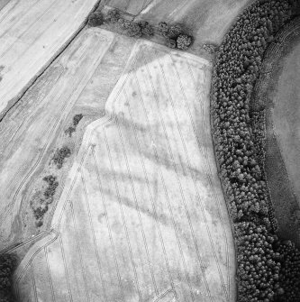 Oblique aerial view of Spittalfield centred on the cropmarks of a round house and souterrain with Roman road adjacent, taken from the WSW.
