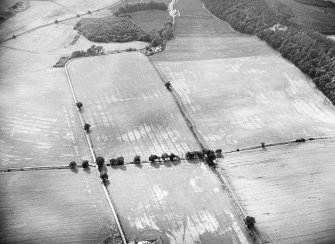 Oblique aerial view.