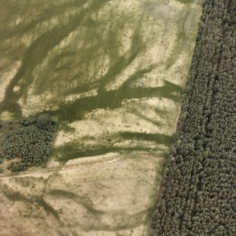 Oblique aerial view.