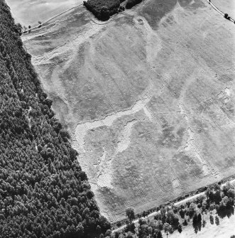 Carsie Mains, oblique aerial view, taken from the N, showing the cropmarks of a series of pit features including a pit-circle, mortuary enclosure and pit-alignment.