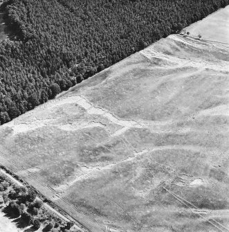 Carsie Mains, oblique aerial view, taken from the WNW, showing the cropmarks of a series of pit features including a pit-circle, mortuary enclosure and pit-alignment.