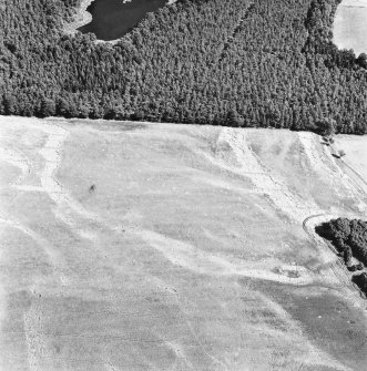 Carsie Mains, oblique aerial view, taken from the WSW, showing the cropmarks of a series of pit features including a pit-circle, mortuary enclosure and pit-alignment.