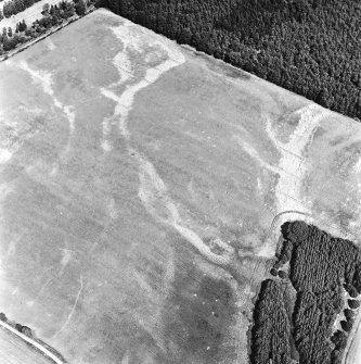 Carsie Mains, oblique aerial view, taken from the SW, showing the cropmarks of a series of pit features including a pit-circle, mortuary enclosure and pit-alignment.