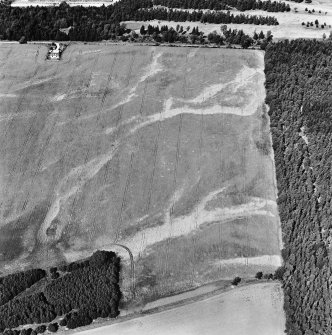 Carsie Mains, oblique aerial view, taken from the SSE, showing the cropmarks of a series of pit features including a pit-circle, mortuary enclosure and pit-alignment.