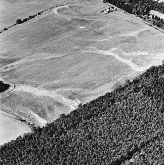 Carsie Mains, oblique aerial view, taken from the E, showing the cropmarks of a series of pit features including a pit-circle, mortuary enclosure and pit-alignment.