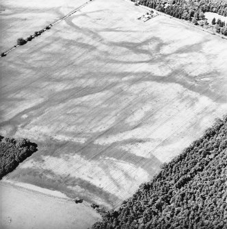 Carsie Mains, oblique aerial view, taken from the SE, centred on a complex of cropmarks including pit features, ring-ditches and linear cropmarks.