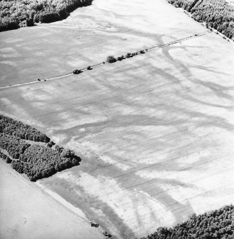 Carsie Mains, oblique aerial view, taken from the E, centred on a complex of cropmark features including possible mortuary enclosures, a pit circle and linear cropmarks.