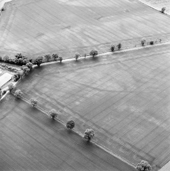 Oblique aerial view centred on the cropmarks of hollow trackways and rig, taken from the NE.